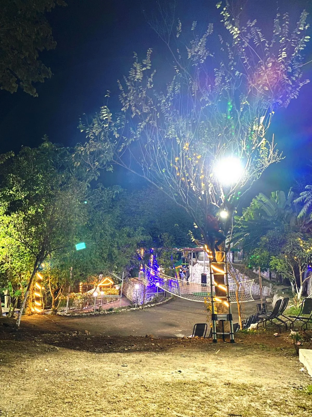 7507572f-0f35-424a-be8e-f01e3fcdf837