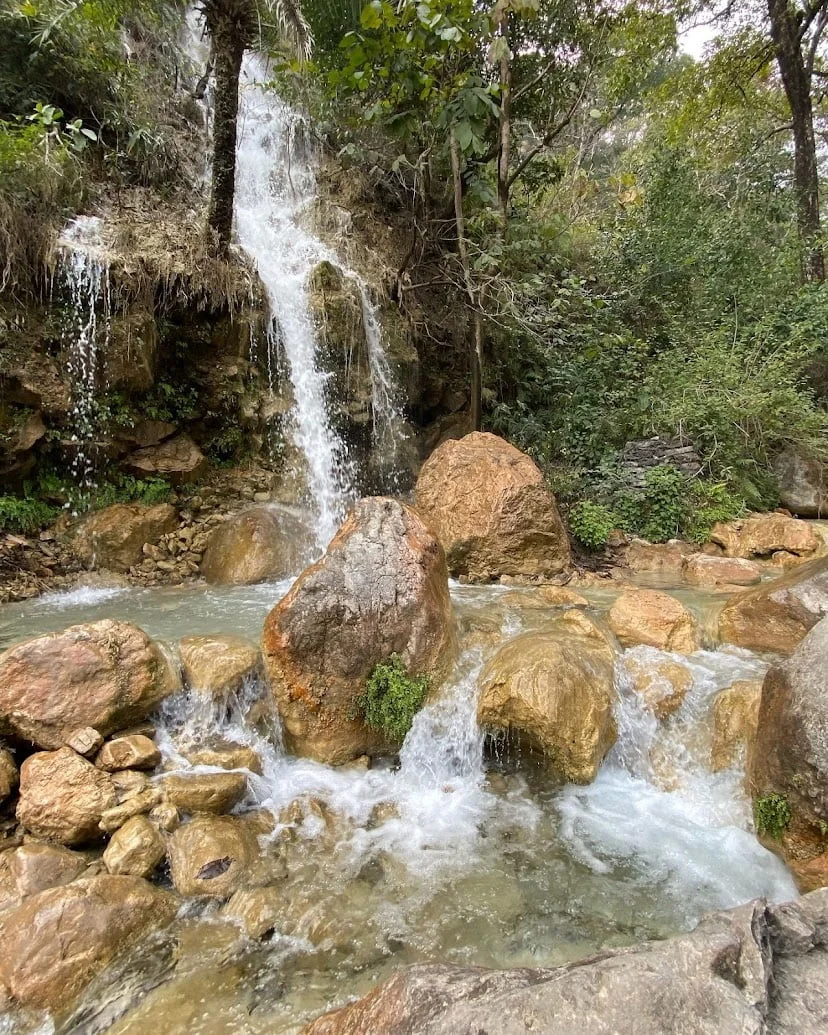 e80663f8-f9b1-402e-9369-5cd4d3bd32ee