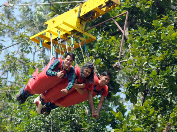 Flying Fox