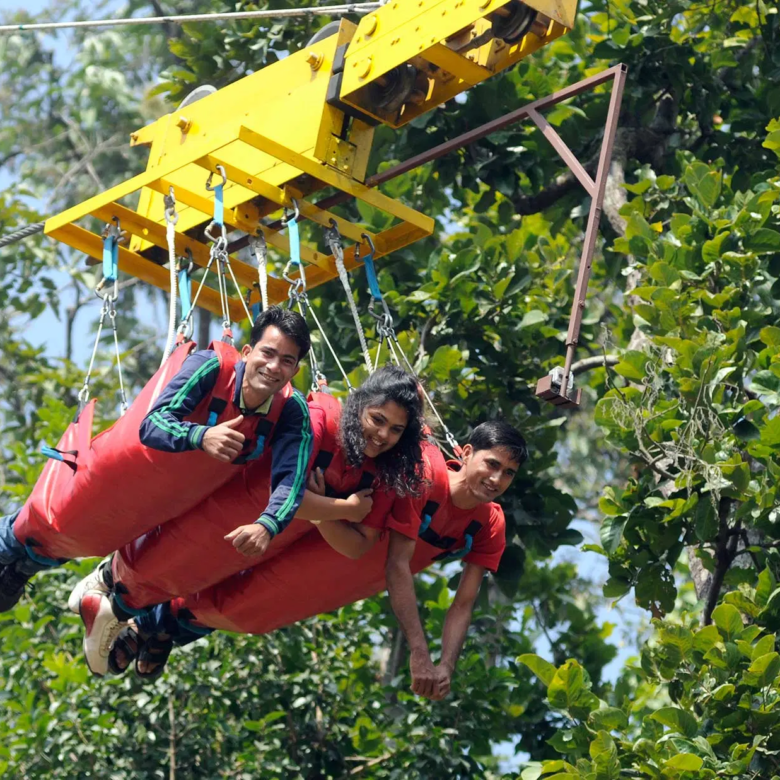 Flying Fox