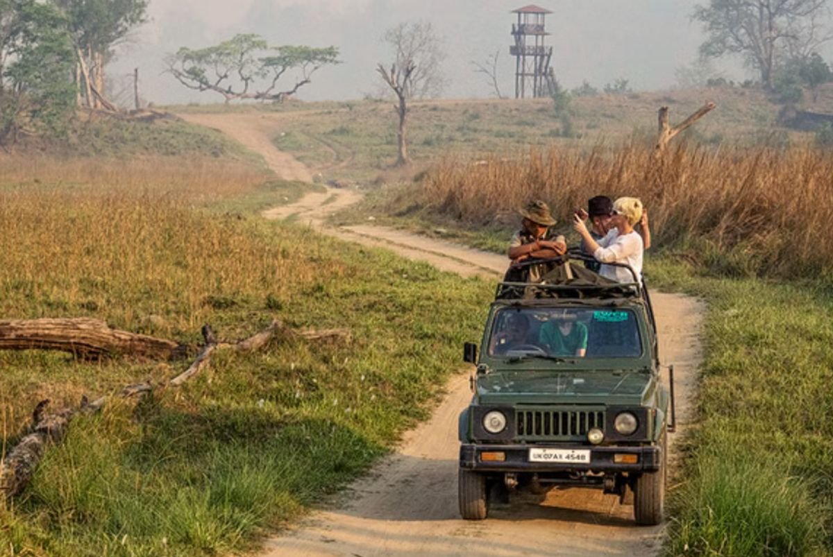 Rajaji National Park near Rishikesh with wildlife, forest landscapes and jeep safari experience