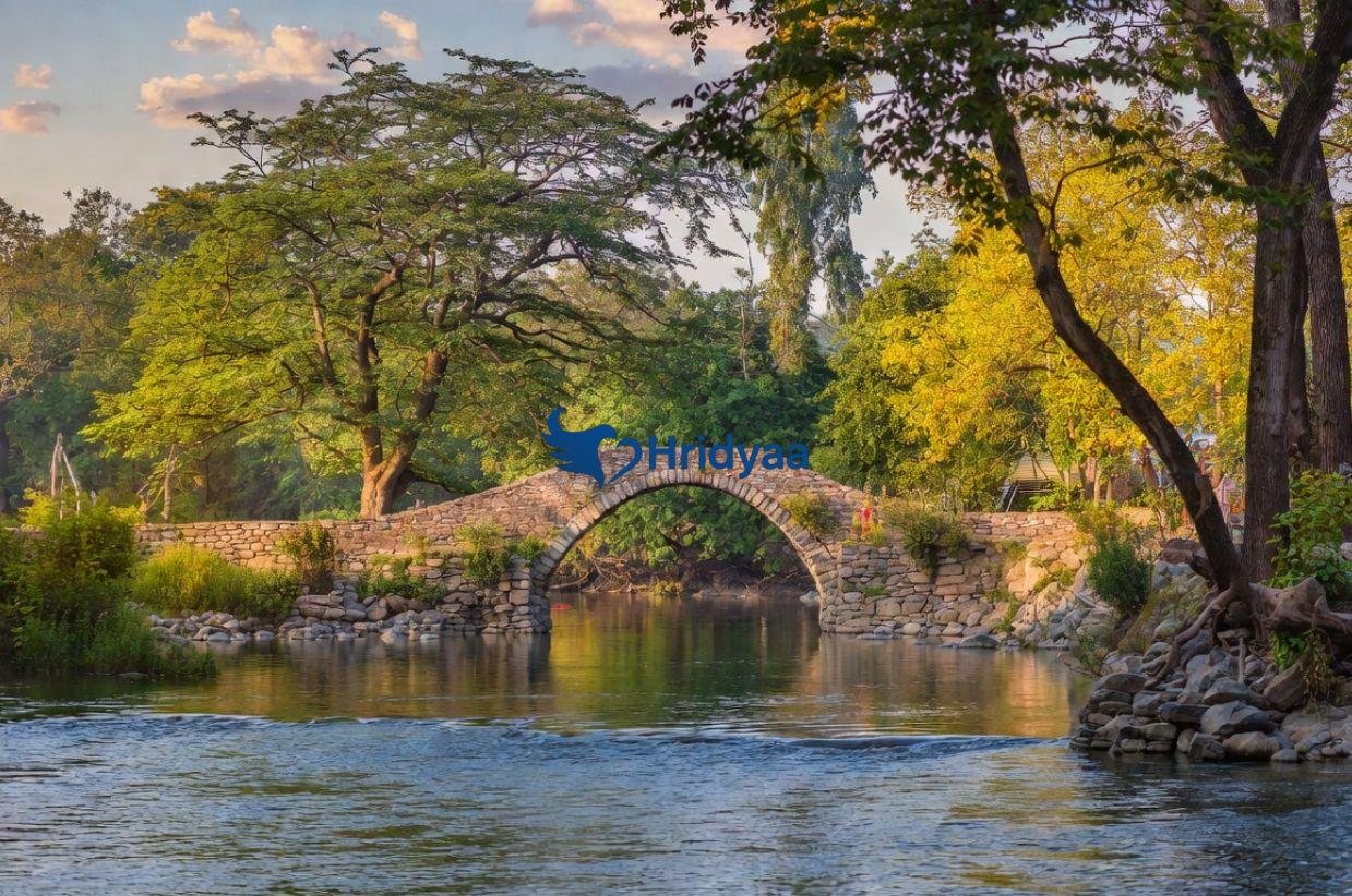 Best Places to Visit in Rishikesh with Family (2026 Guide)