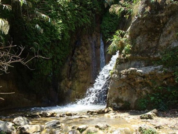 A Quiet Forest Escape: Garudchatti Waterfall near Rishikesh