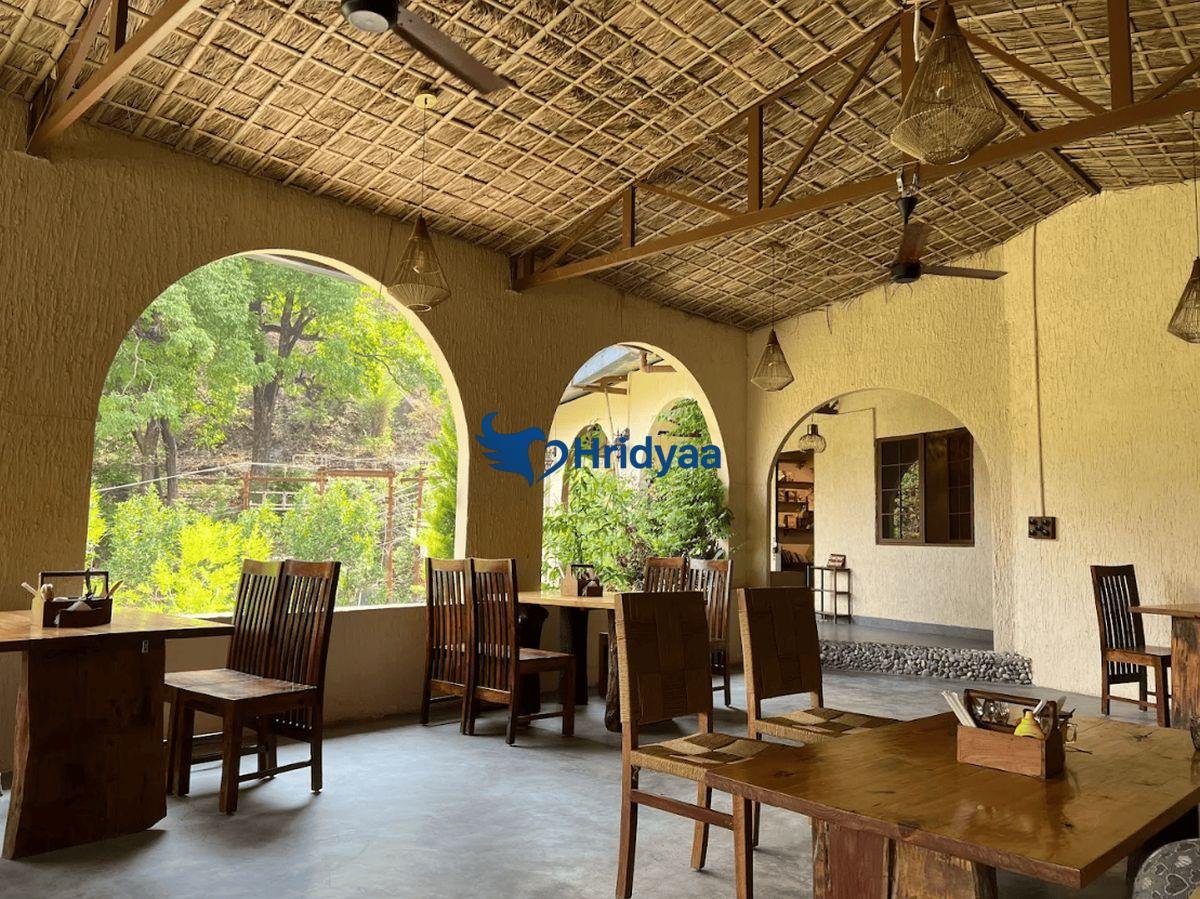 rooftop cafes in tapovan rishikesh with mountain and partial ganga views